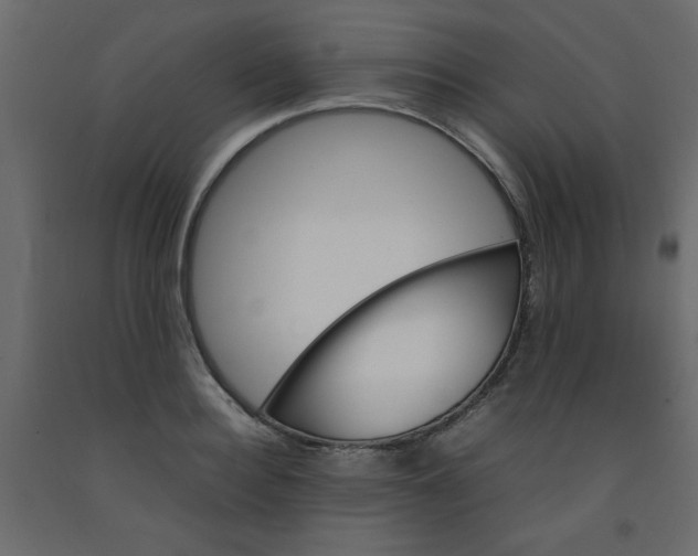 X0000092210940200710051134