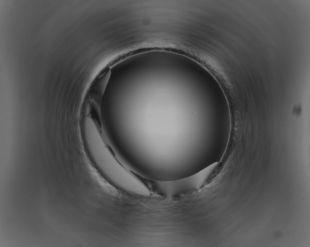 X0000092210942200710051134