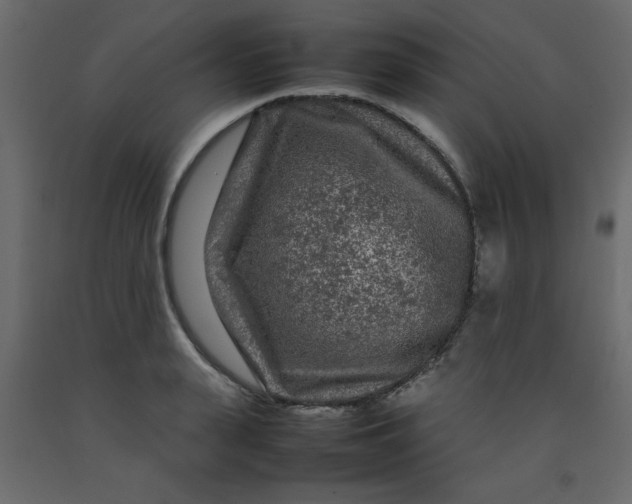 X0000092210943200710051134