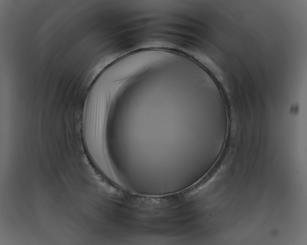 X0000092210945200710051134