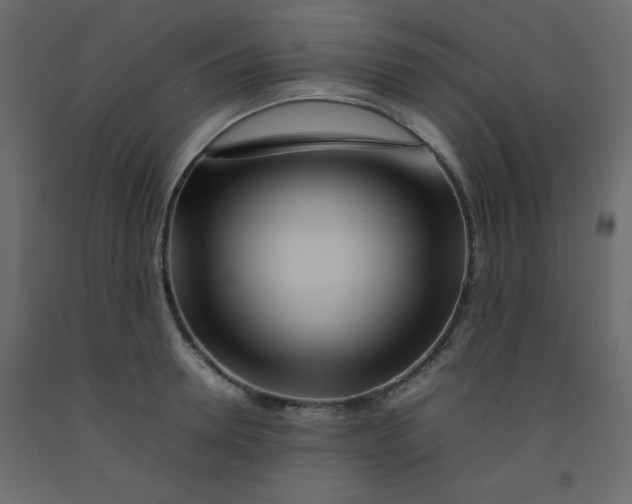 X0000092210946200710051134