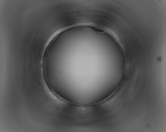 X0000092210947200710051134