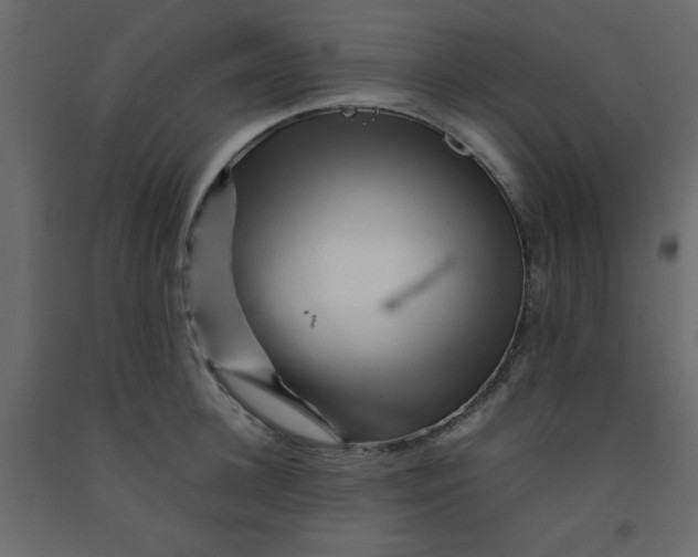 X0000092210948200710051134