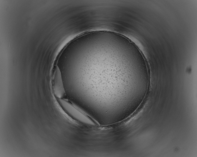 X0000092210949200710051134