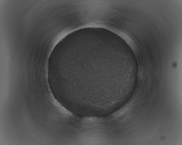 X0000092210950200710051134