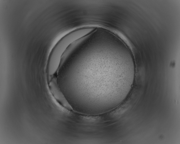 X0000092210951200710051134