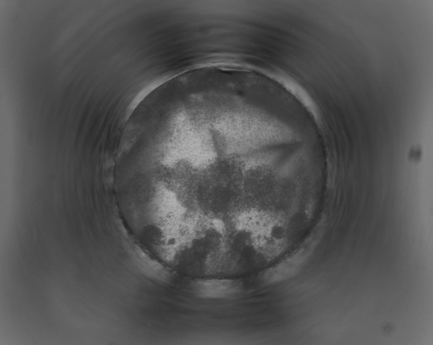 X0000092210953200710051134