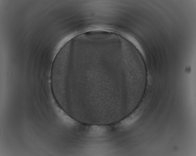 X0000092210954200710051134