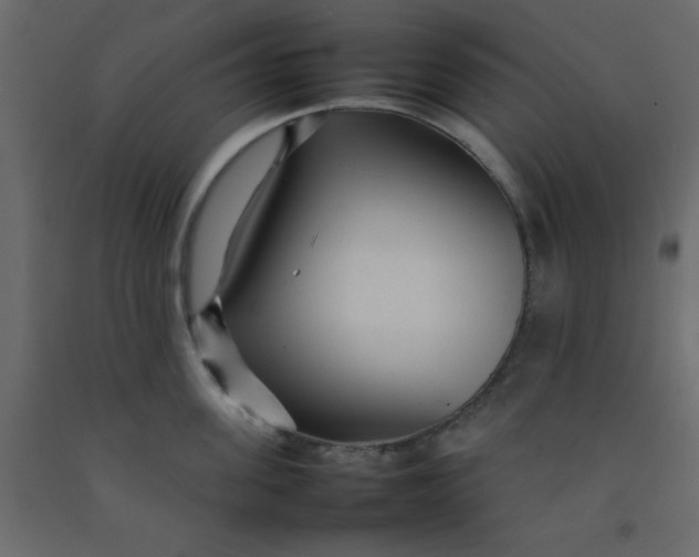 X0000092210955200710051134