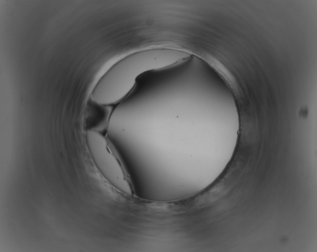 X0000092210956200710051134