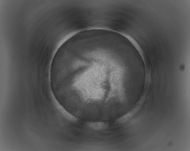 X0000092210957200710051134