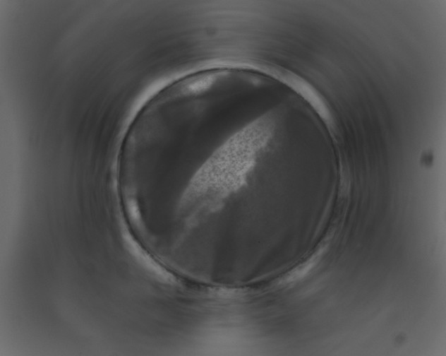 X0000092210958200710051134