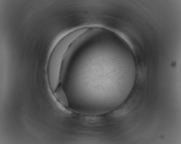 X0000092210959200710051134