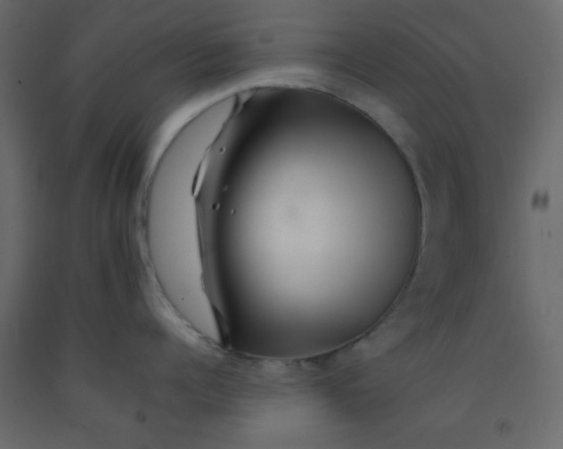 X0000092210960200710051134