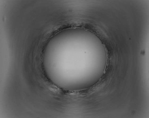 X0000092210961200710051133