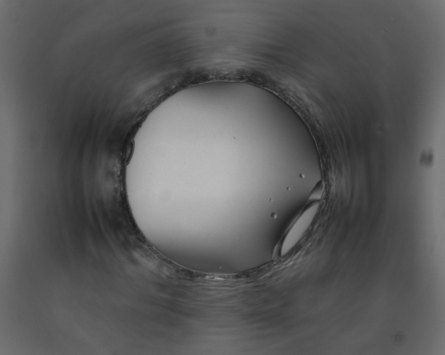 X0000092210964200710051133