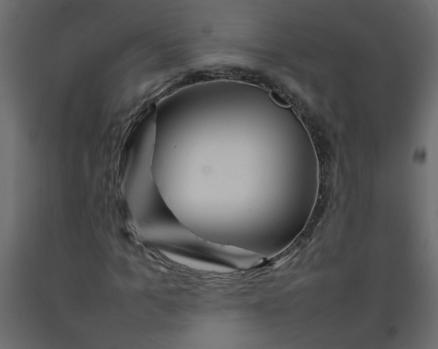 X0000092210965200710051133