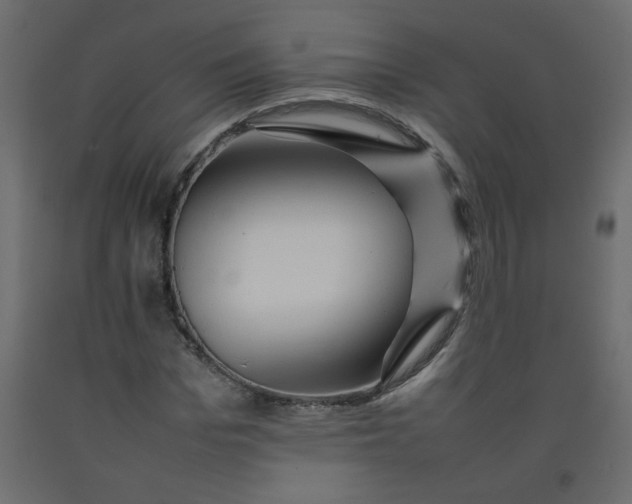 X0000092210969200710051133