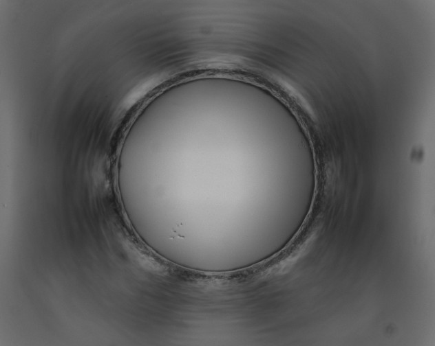 X0000092210970200710051133