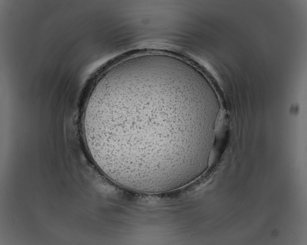 X0000092210971200710051133