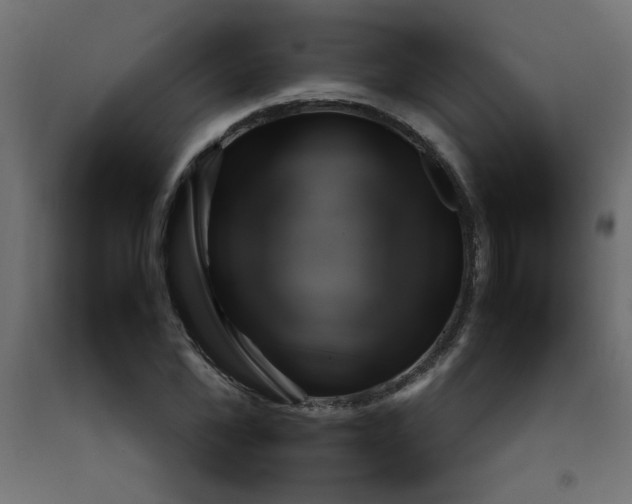 X0000092210973200710051133