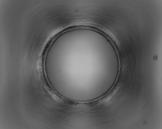 X0000092210974200710051133