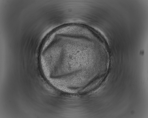 X0000092210975200710051133