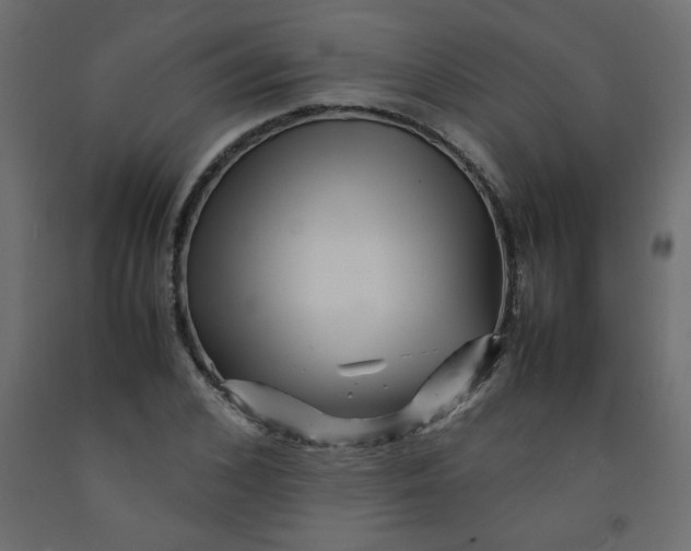 X0000092210976200710051133