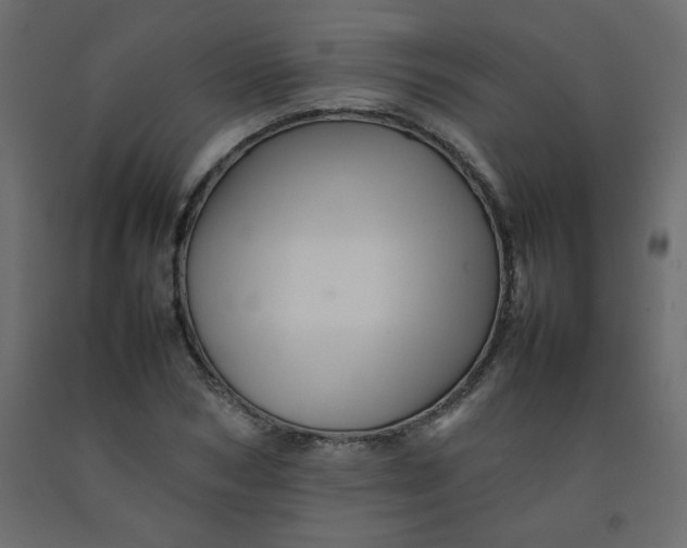 X0000092210978200710051133