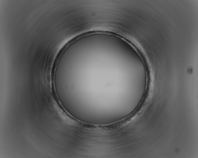 X0000092210980200710051133