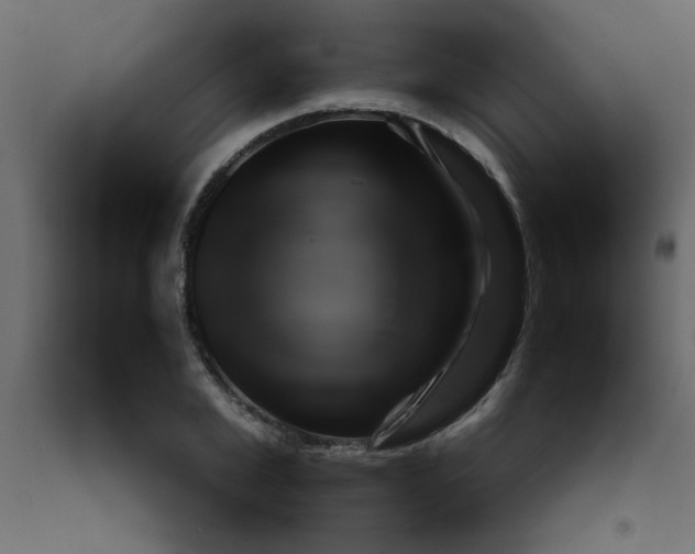 X0000092210981200710051133