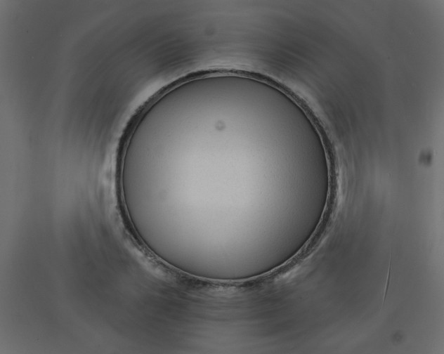 X0000092210982200710051133