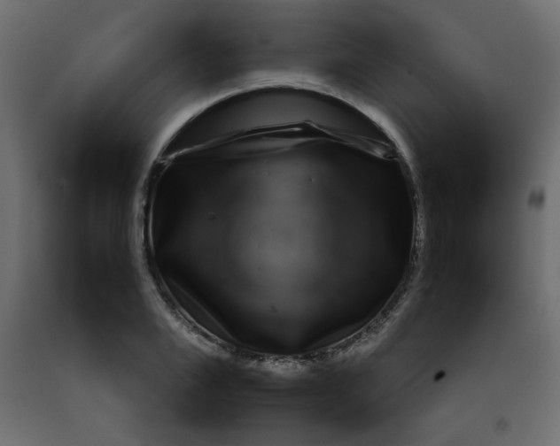 X0000092210983200710051133