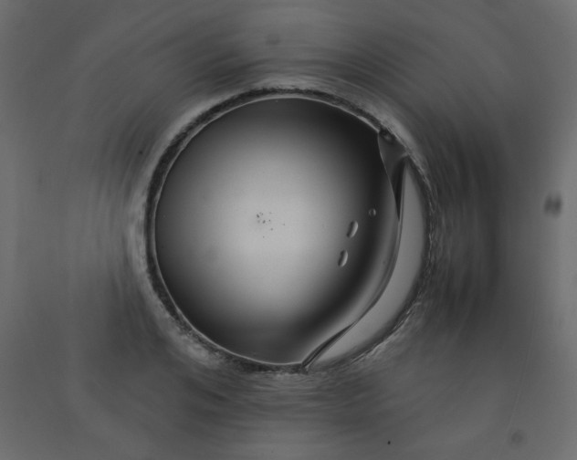 X0000092210984200710051133