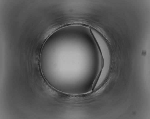 X0000092210985200710051133