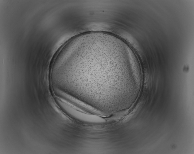 X0000092210986200710051133