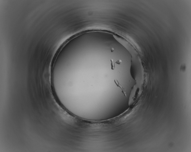 X0000092210988200710051133