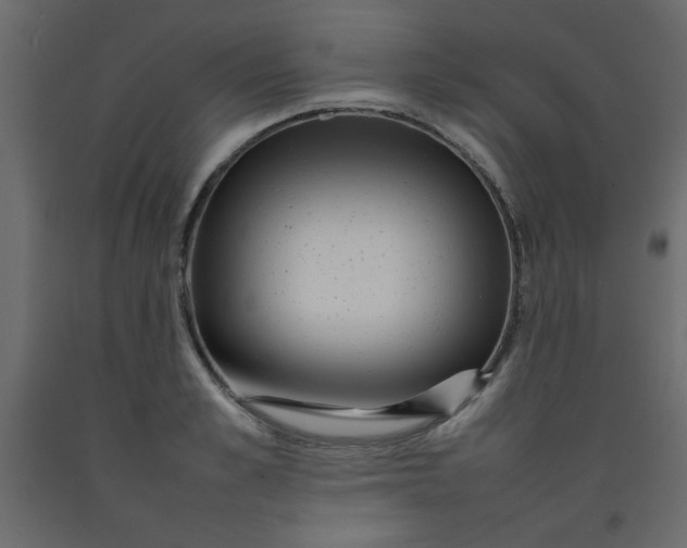 X0000092210989200710051133