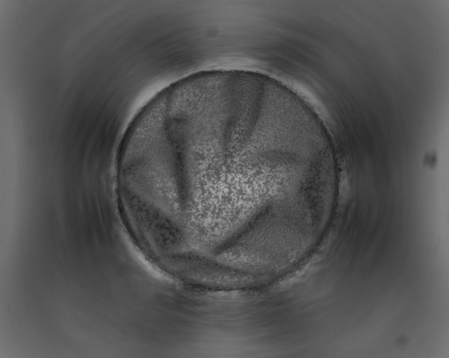 X0000092210990200710051133