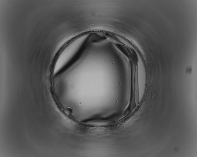 X0000092210991200710051133