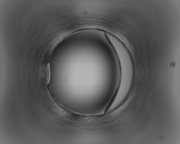 X0000092210993200710051133