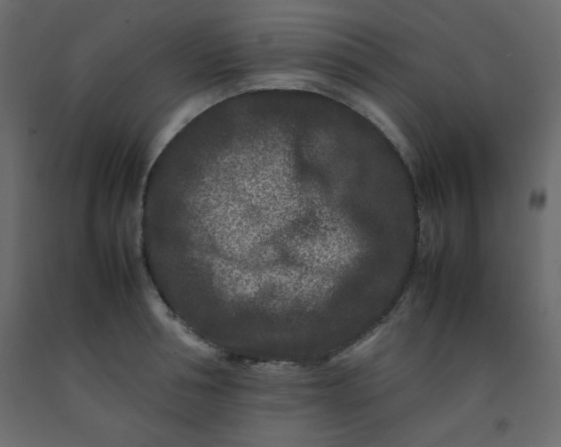 X0000092210994200710051133