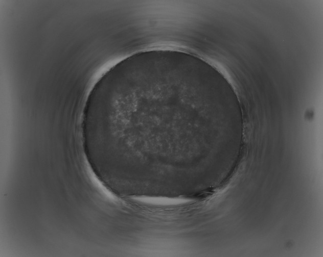 X0000092210995200710051133