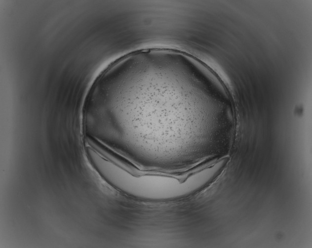 X0000092210996200710051133