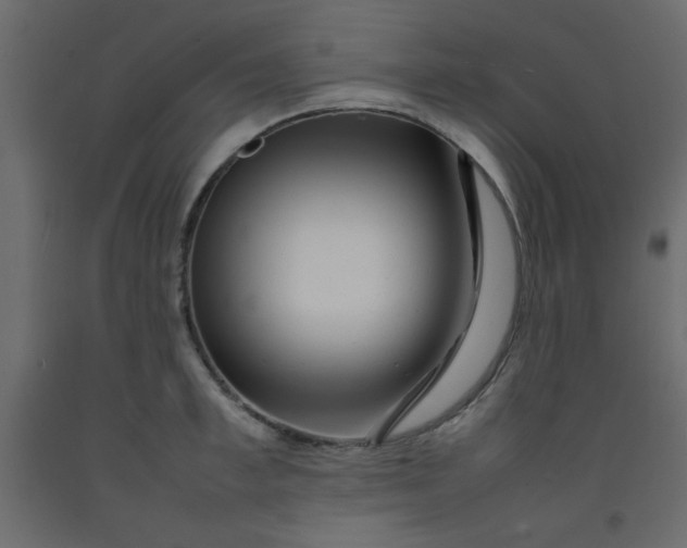 X0000092210997200710051133