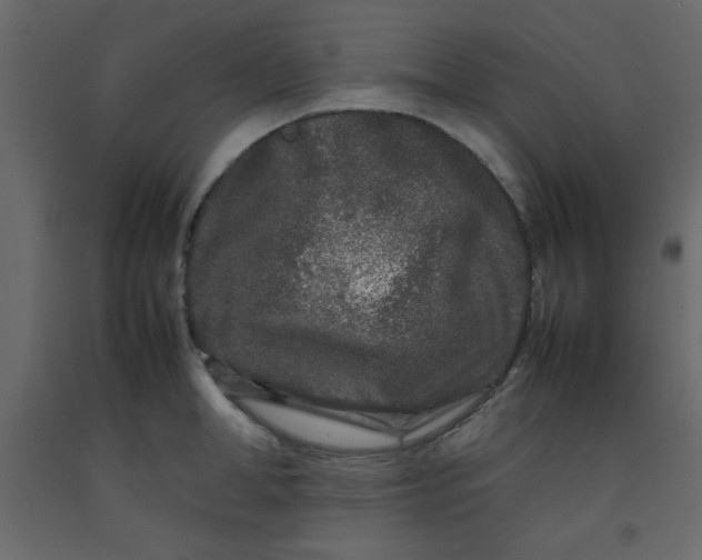 X0000092210998200710051133