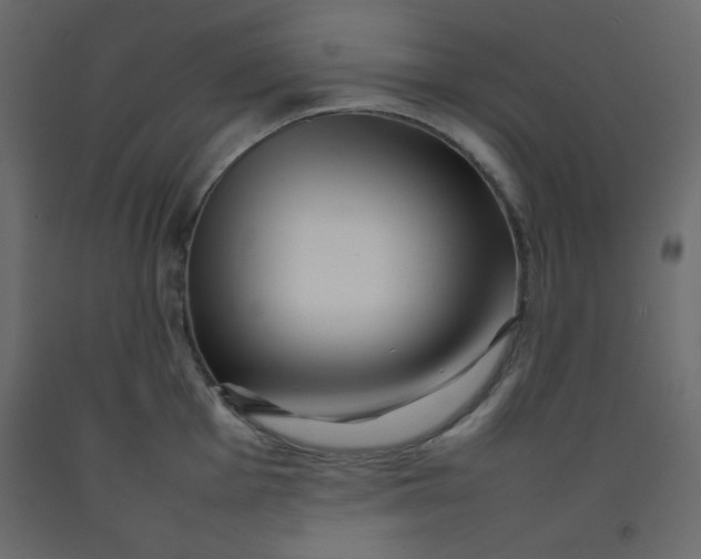 X0000092211001200710051133