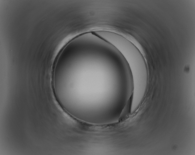 X0000092211005200710051133