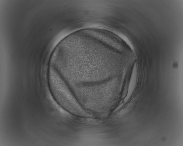 X0000092211007200710051133