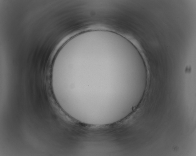 X0000092211008200710051133